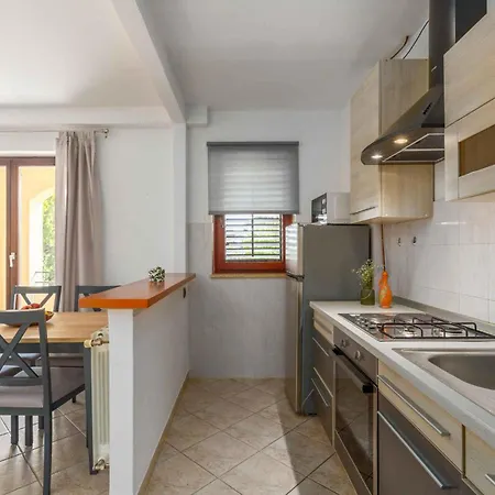 Apartment In Sveti Lovrec - Istrien 47117